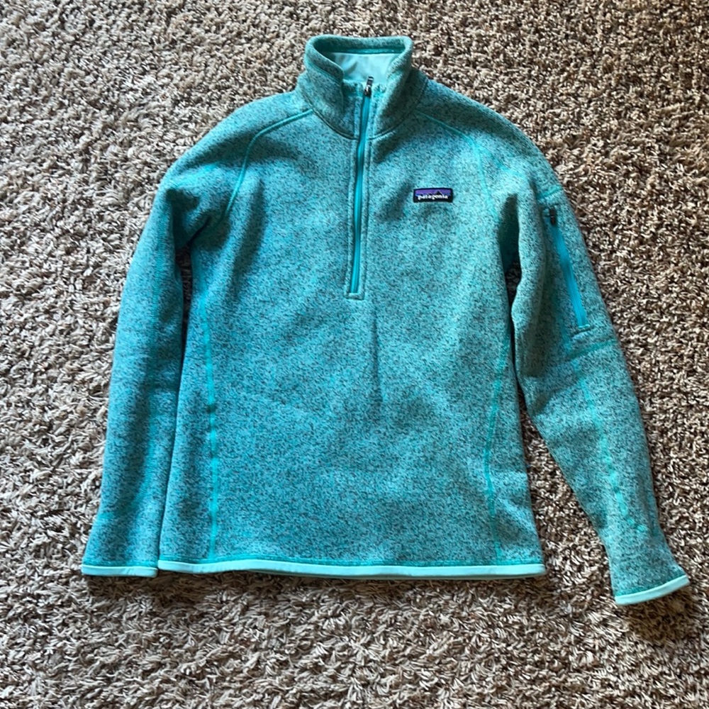 Patagonia Better Sweater.